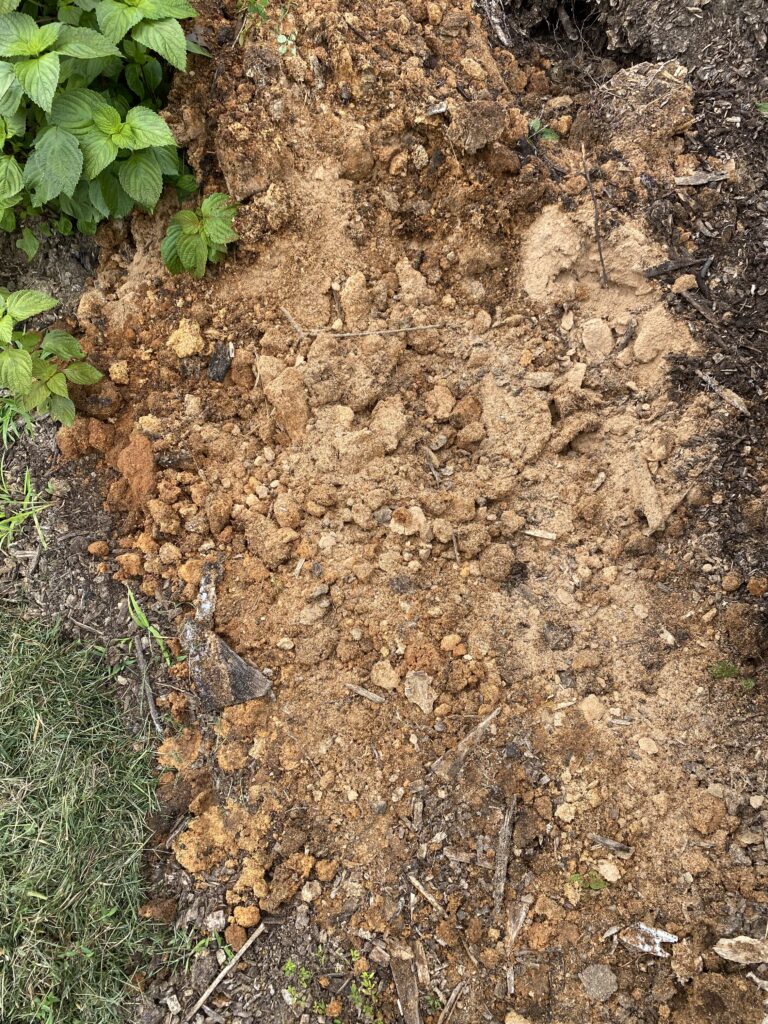 Pile of light brown, partly decomposed sawdust on the ground